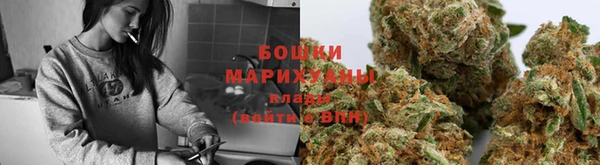 индика Нефтегорск