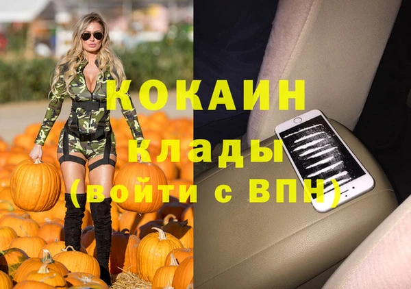 гидра Нея