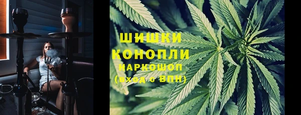 индика Нефтегорск